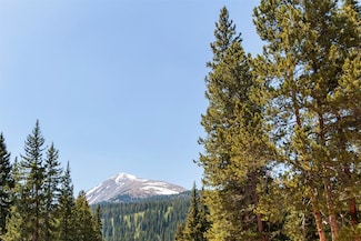 316 Tordal Way, Breckenridge, CO 80424