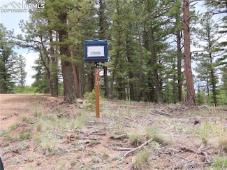 210 Donzi Trail, Florissant, CO 80816