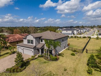 9814 Palazzo St, Seffner, FL 33584