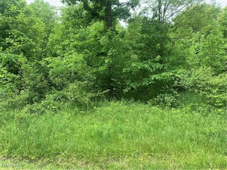 0 Pinney Topper Rd Unit 5128549, Plymouth, OH 44004