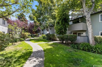 413 Piccadilly Place Unit 14, San Bruno, CA 94066