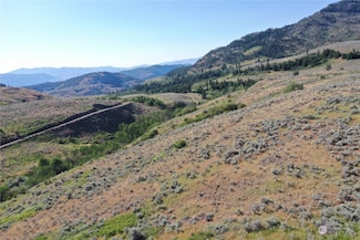 1121 Tbd Ellemeham Mtn Rd, Oroville, WA 98844