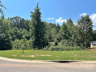 30 Shanklin Ln S Unit 30, Westport, NC 28037