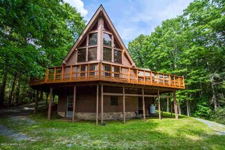 142 Little Laurel Ln, Bland, VA 24315