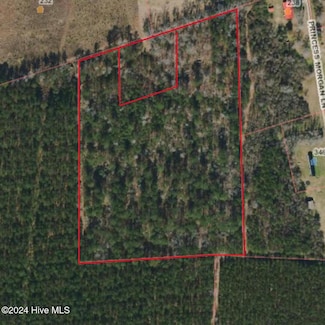 11.5 Acres Ernest Valeria, Willard, NC 28478