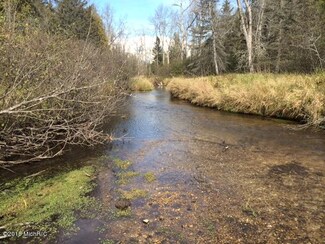 0 Frutchey Ranch Rd Unit 15058084, Curran, MI 48728