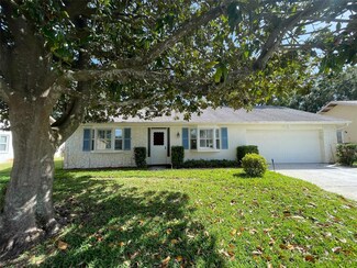 1659 E Dorchester Ct, Palm Harbor, FL 34684