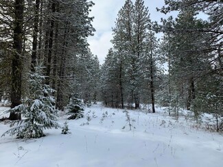 Lot 56 Railroad Dr Unit 56, New Meadows, ID 83654