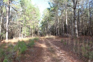 1 S Thompson Rd, Pine Mountain, GA 31822