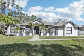 1010 Emerald Creek Dr, Valrico, FL 33596