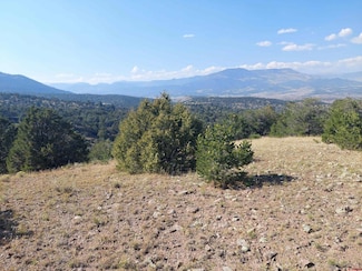 tbd Pinon Hills Rd, South Fork, CO 81154