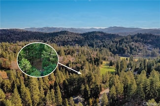 131 N Fairway Dr, Lake Arrowhead, CA 92352