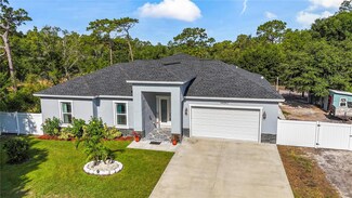 14810 Basswood Ave, Tampa, FL 33625