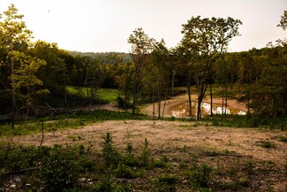 00 State Hwy U and Cr 110, Mansfield, MO 65704