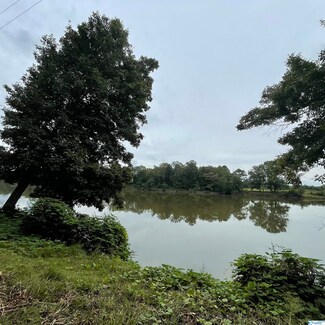 1089 Mockingbird Dr, Ragland, AL 35131