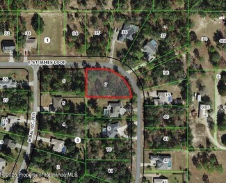 1820 E Saint James Loop, Inverness, FL 34453