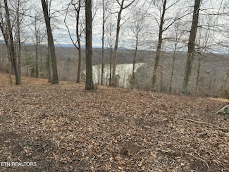 7 Amonett Ridge Rd, Byrdstown, TN 38549
