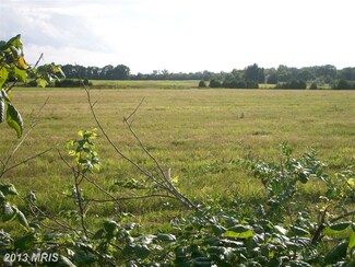 0 Bristersburg Rd Unit 1003672112, Catlett, VA 20119