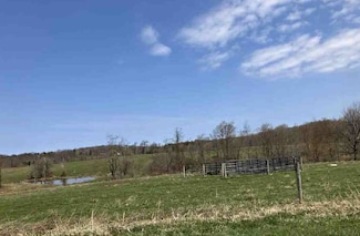 0 Hahn Rd Unit R1606854, Pomfret, NY 14063