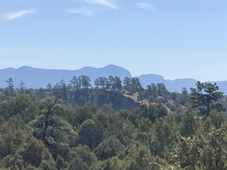 TBD Shroyer Dr Hacienda Tr 1a, Rutheron, NM 87551
