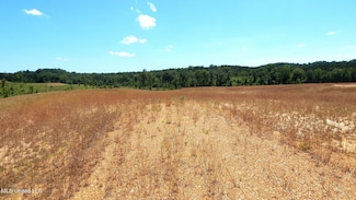 209 Hugh White State Park Rd, Grenada, MS 38901