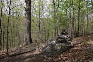 0 Drummer Hill Rd Unit LotWP001 23302419, Front Royal, VA 22630