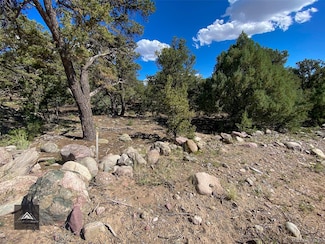 407 N Chaparral Way, Crestone, CO 81131