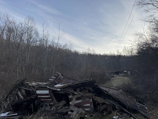 911 Shingles Branch Rd, East Lynn, WV 25512