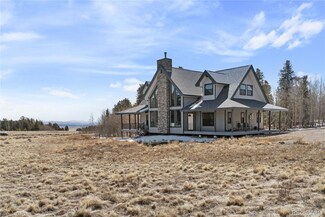247 Foxtail Ct, Fairplay, CO 80440