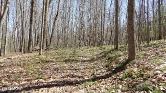 391 Ridge Rd, Lancing, TN 37770