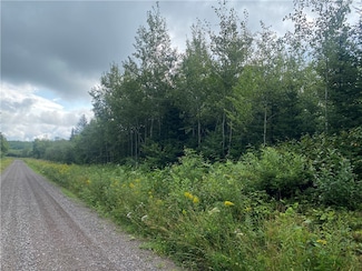 ON Right of Way Rd, Butternut, WI 54514