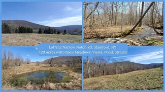 Lot 9.12 Narrow Notch Rd, Hobart, NY 13788