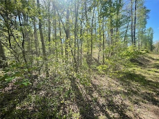 174 Navajo Trail, Martin, GA 30557