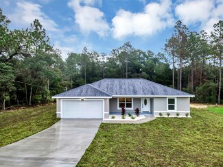 6579 SW 202nd Ct, Dunnellon, FL 34431
