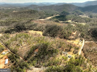 5 AC Pack Creek Rd, Blue Ridge, GA 30513