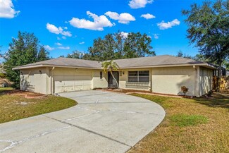 1714 Orange Hill Way, Brandon, FL 33510
