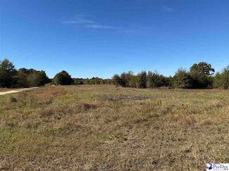 Lot 32 Norwood Farms, McBee, SC 29101