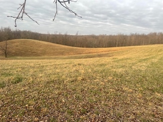 0 Bagley Hollow Rd, Lynchburg, TN 37160