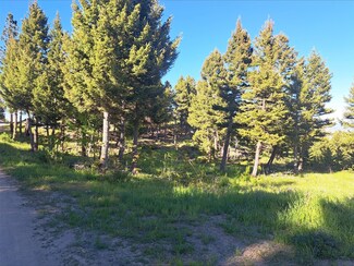 53 Skihi Peak Dr, Clancy, MT 59634