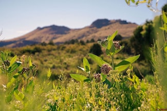 71 Tract 21a Altair Rd, Del Norte, CO 81132