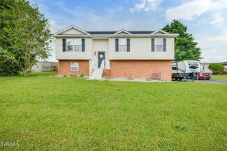 1111 Sycamore Creek Dr, Jonesborough, TN 37659