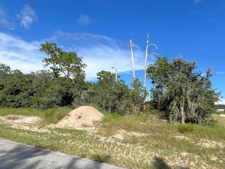 1301 St Augustine Ct, Kissimmee, FL 34759