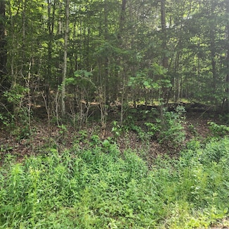 00 Poplar Creek Rd, Poplar, NC 28740