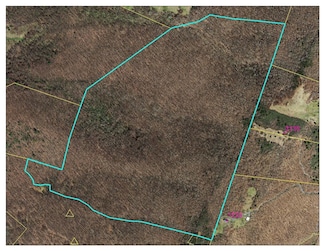 xx McGraw Gap Rd, Hot Springs, VA 24445