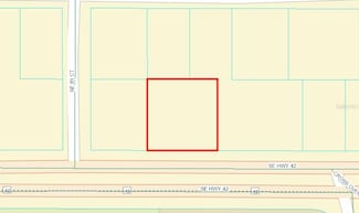 TBD SE Highway 42, Summerfield, FL 34491