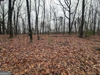0 Northland Trail Unit 10472985, Ellijay, GA 30540