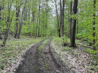 0 Jordan Hill Rd, Bolivar, NY 14715