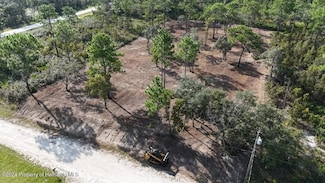 10216 Yellow Frog Ave, Weeki Wachee, FL 34614