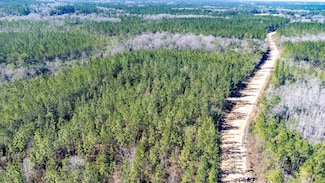 0 Vacant Fire Break 21 Rd, Hosford, FL 32334