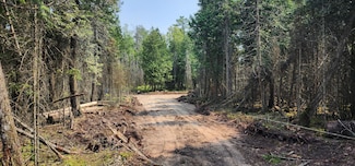 1 N Shiawasee Trail, Hessel, MI 49745